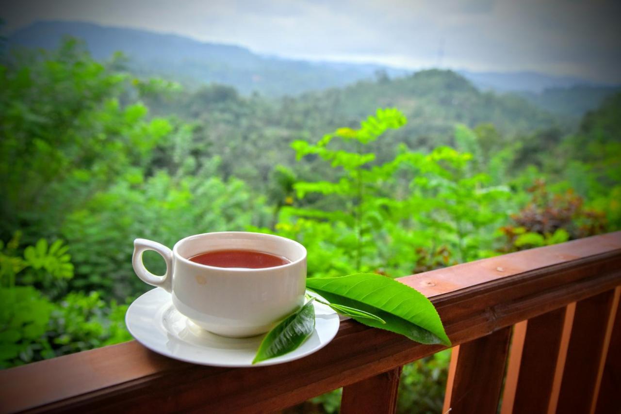 Rainforest Nature House Deniyaya Ngoại thất bức ảnh