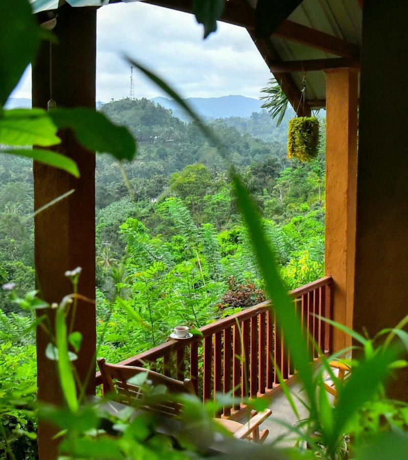 Rainforest Nature House Deniyaya Ngoại thất bức ảnh