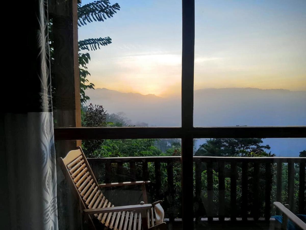Rainforest Nature House Deniyaya Ngoại thất bức ảnh