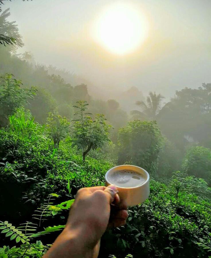 Rainforest Nature House Deniyaya Ngoại thất bức ảnh