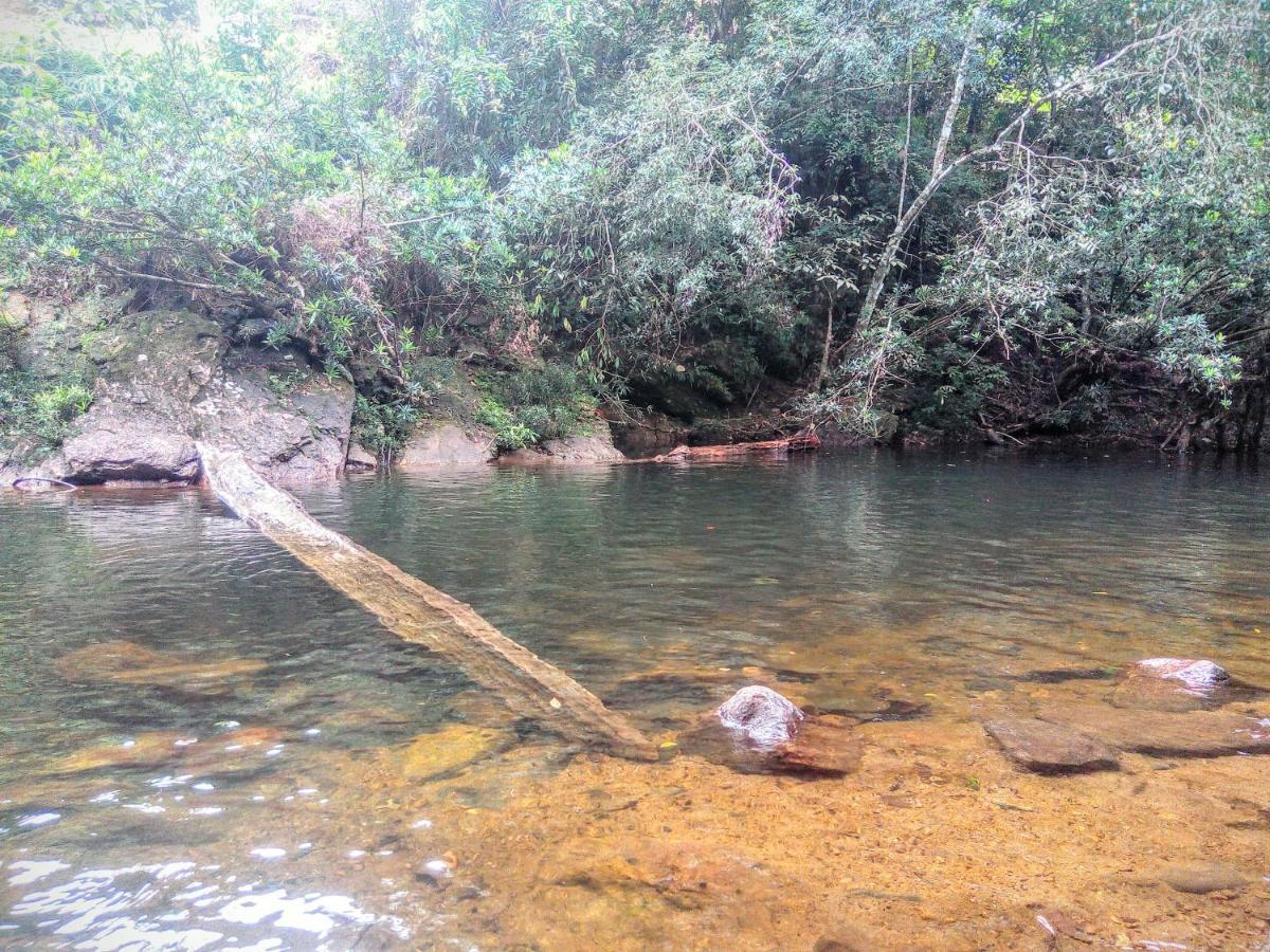 Rainforest Nature House Deniyaya Ngoại thất bức ảnh