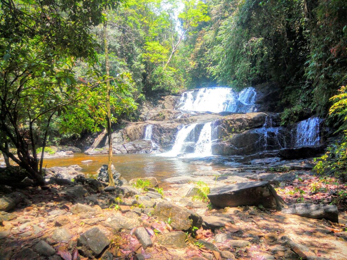 Rainforest Nature House Deniyaya Ngoại thất bức ảnh