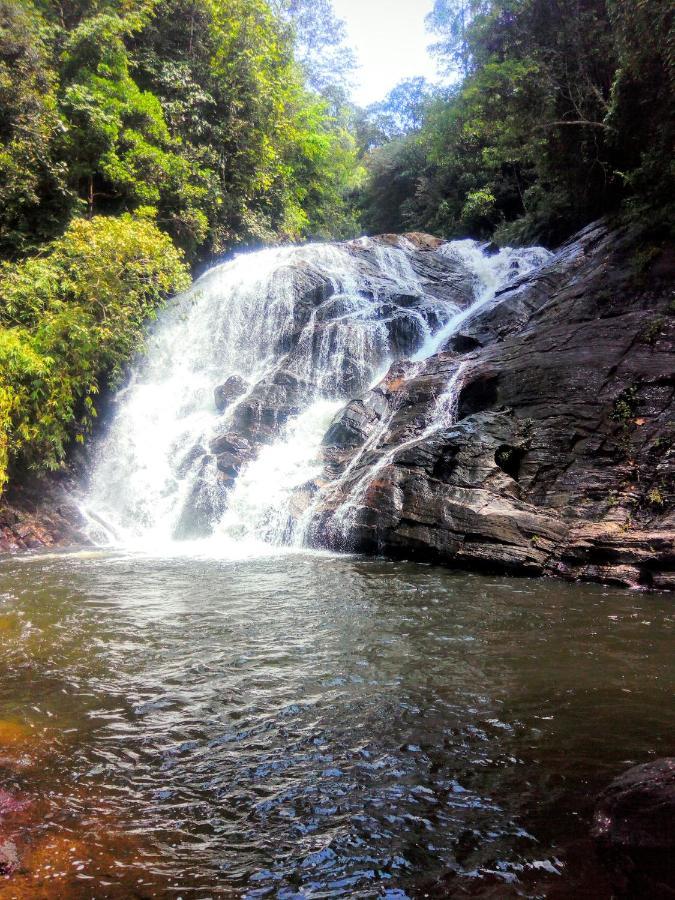 Rainforest Nature House Deniyaya Ngoại thất bức ảnh