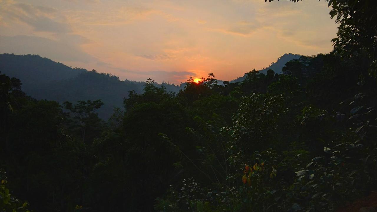 Rainforest Nature House Deniyaya Ngoại thất bức ảnh