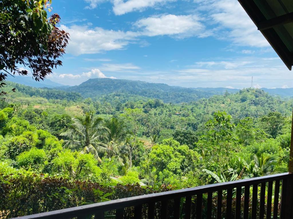 Rainforest Nature House Deniyaya Ngoại thất bức ảnh