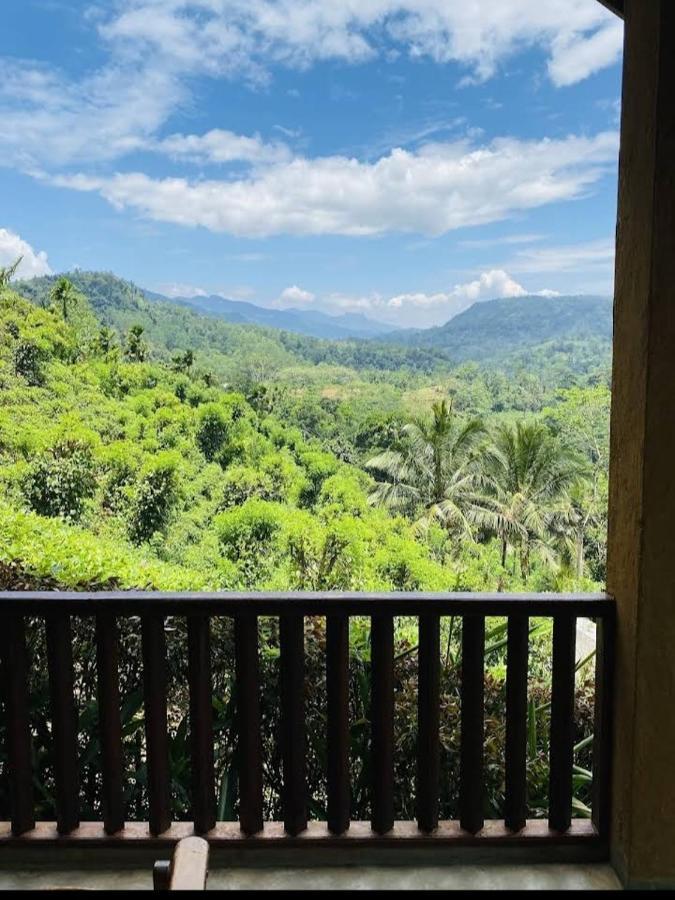 Rainforest Nature House Deniyaya Ngoại thất bức ảnh