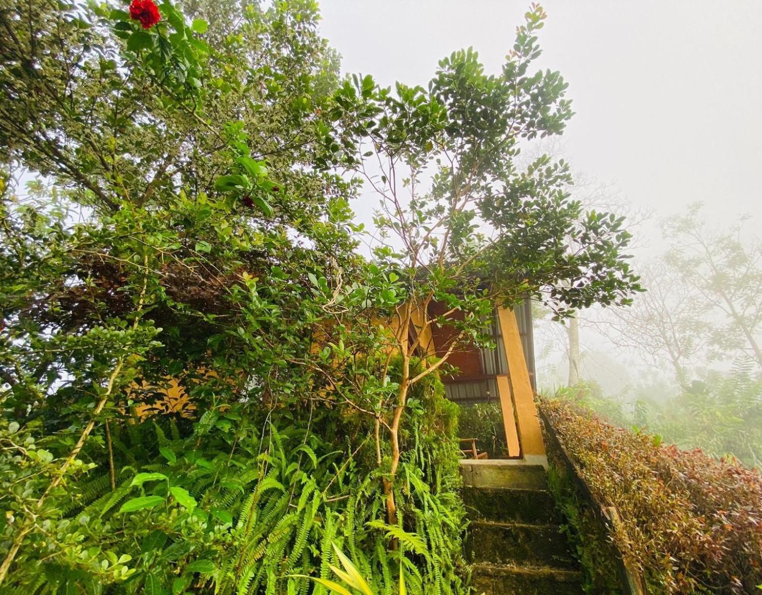 Rainforest Nature House Deniyaya Phòng bức ảnh