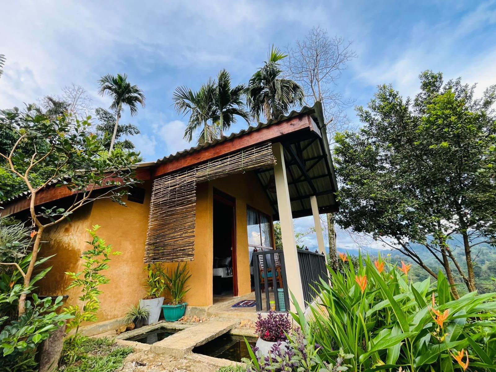 Rainforest Nature House Deniyaya Phòng bức ảnh