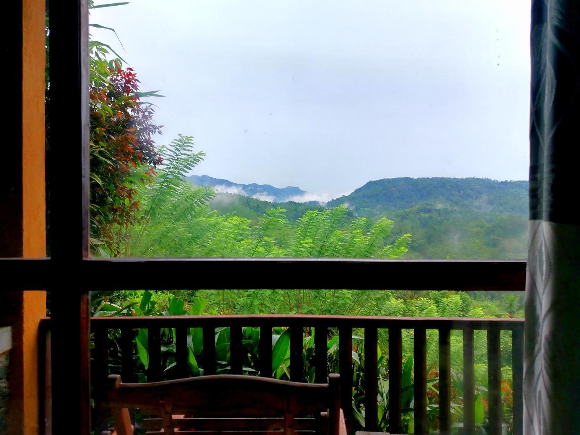 Rainforest Nature House Deniyaya Phòng bức ảnh